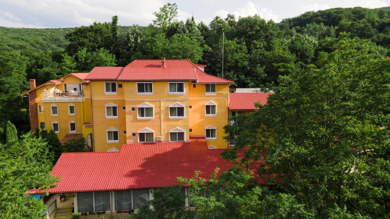 Aida Hotel Spa & Tratament Geoagiu Bai Bagian luar foto